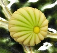 五節供・重陽の節句 上生菓子 菓銘：不老長寿